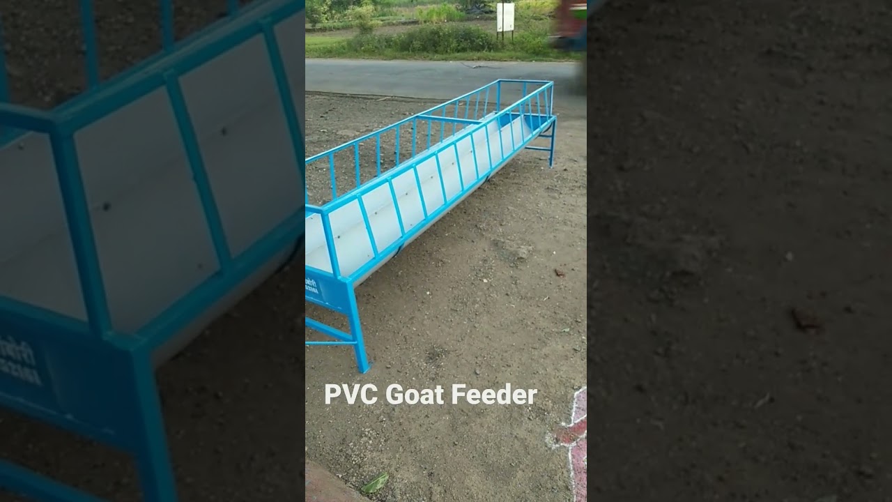 PVC Goat Feeder 90 British pound #short