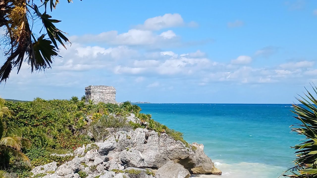 nelly saenz está en vivo