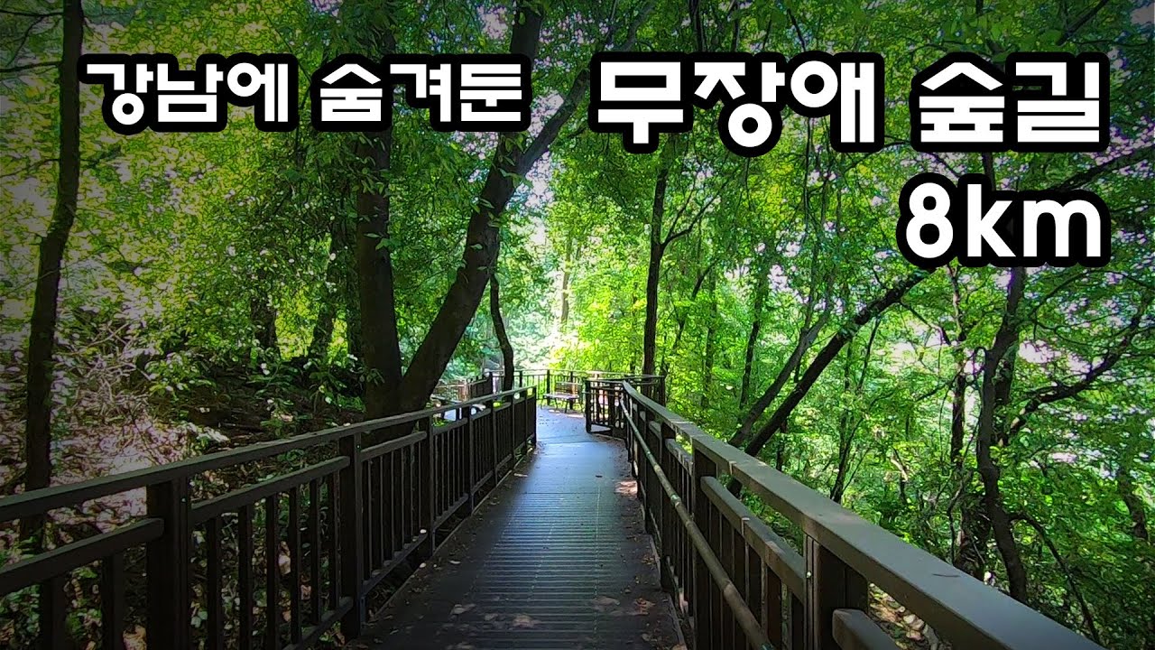 서초구 우면산무장애숲길 _ 하이힐로 등산가능 _ 8km 무장애숲길 _ trekking in Seoul, South Korea