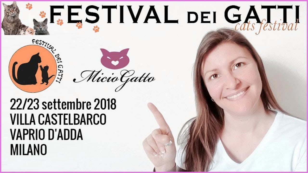 Il Festival dei gatti 2018 con MicioGatto! 😻😻