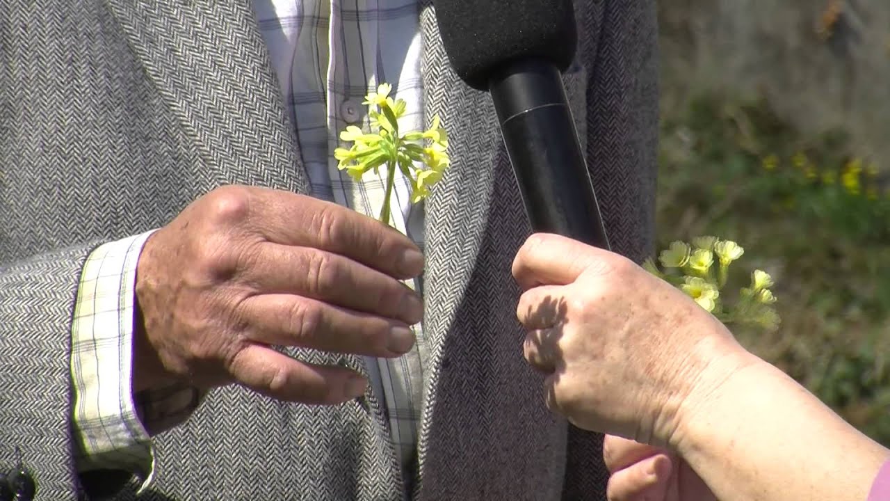 Jan Dedik a liecive bylinky mikroregionu Teplicka