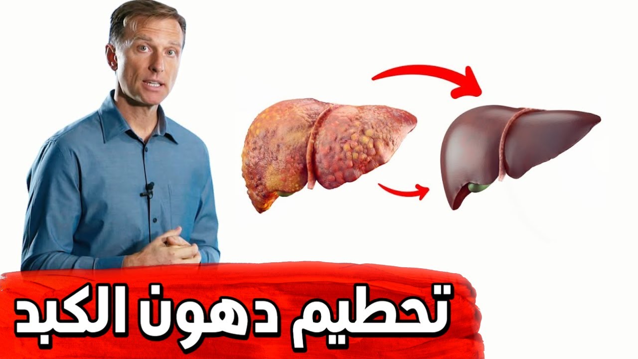 ٦ أشياء زهيدة الثمن تساعد حتماً في تخليص الكبد من الدهون