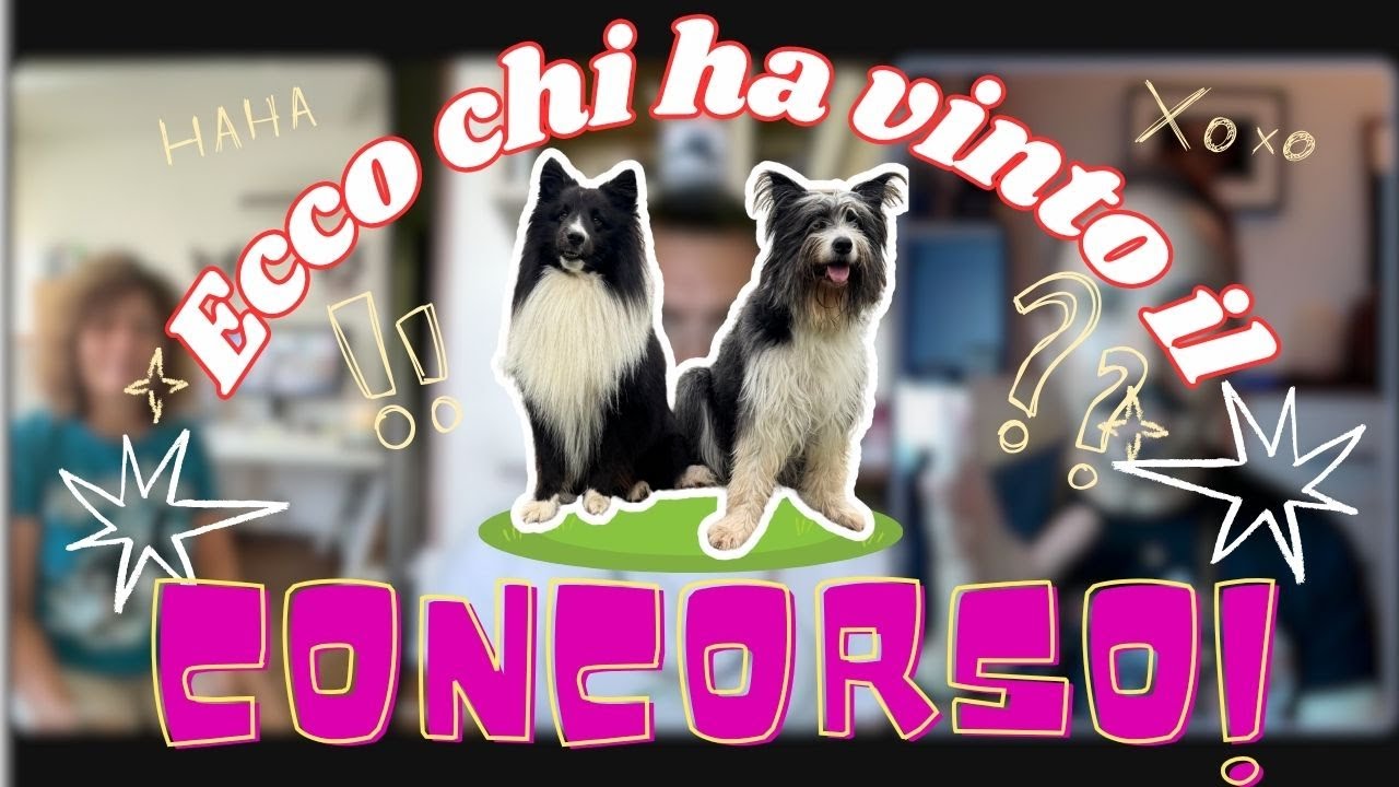 Il nostro contest: ecco chi ha vinto! Gioacchino @Giofly91, Stefania, Ronda e Nhat all'estrazione!