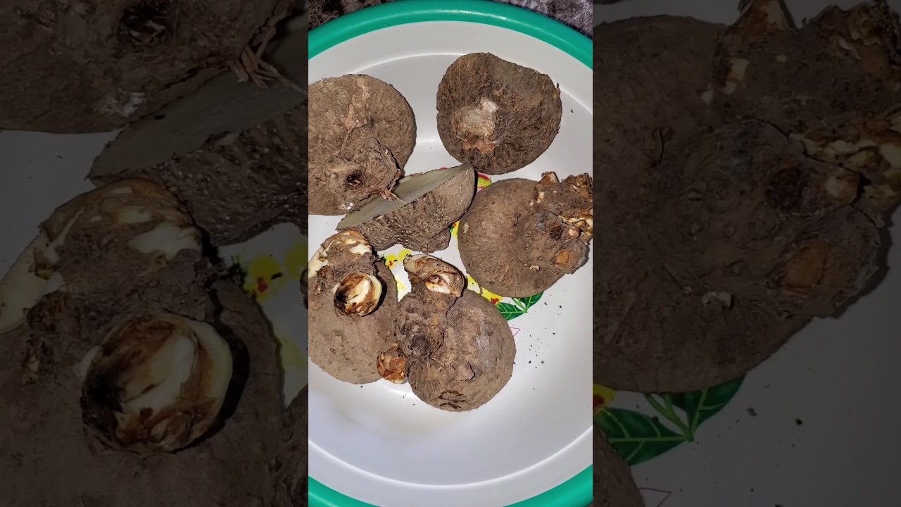 How to plant yam in a container