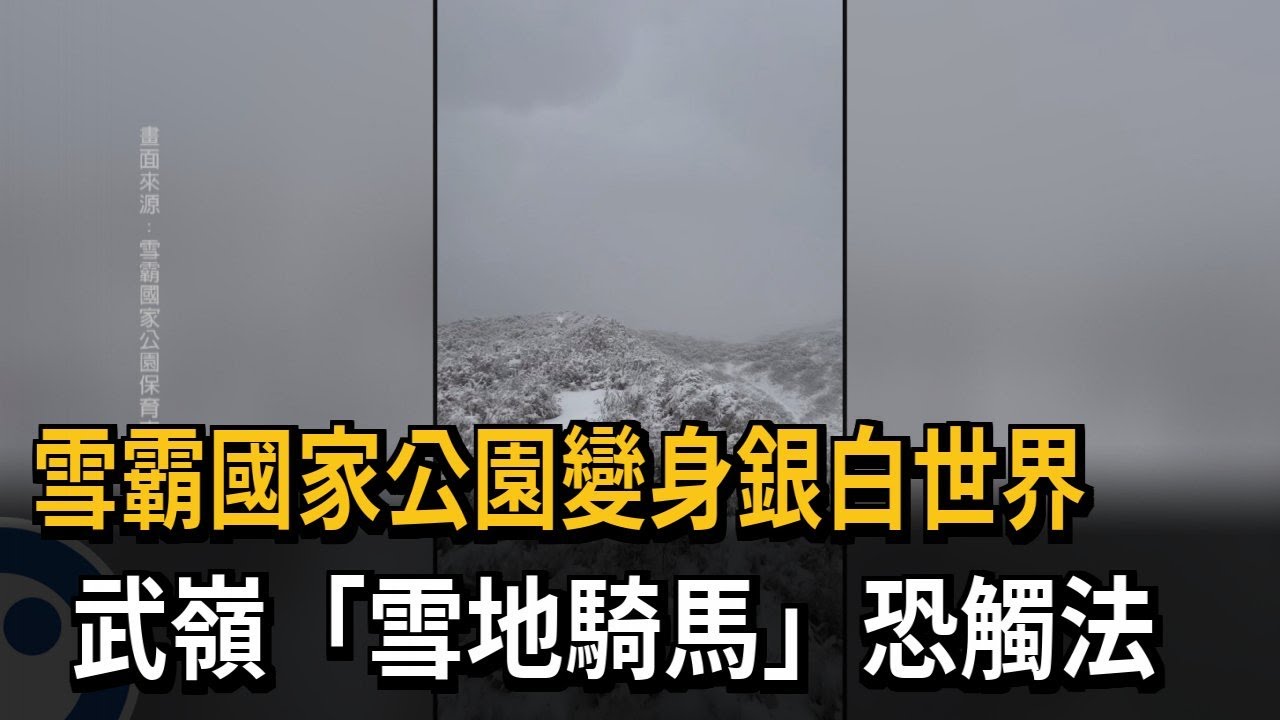 雪霸國家公園變身銀白世界　武嶺「雪地騎馬」恐觸法－民視新聞