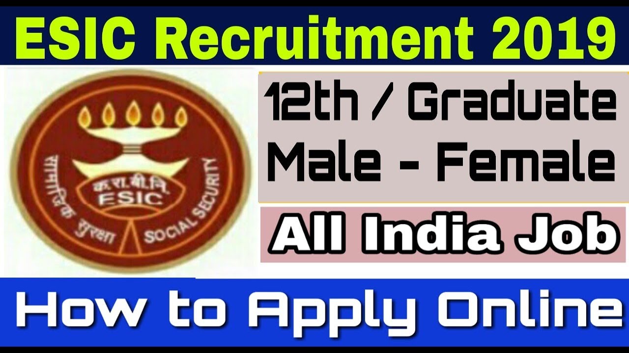 ESIC Recruitment 2019 II Stenographer & UDC II How to Apply Online II Learn Technical