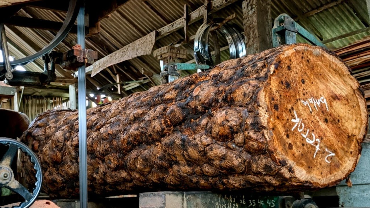 This is the process of cutting mahogany wood for civil construction materials