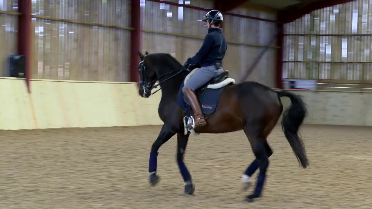 How to train & develop canter pirouettes | Collective Equestrian | Alex Harrison
