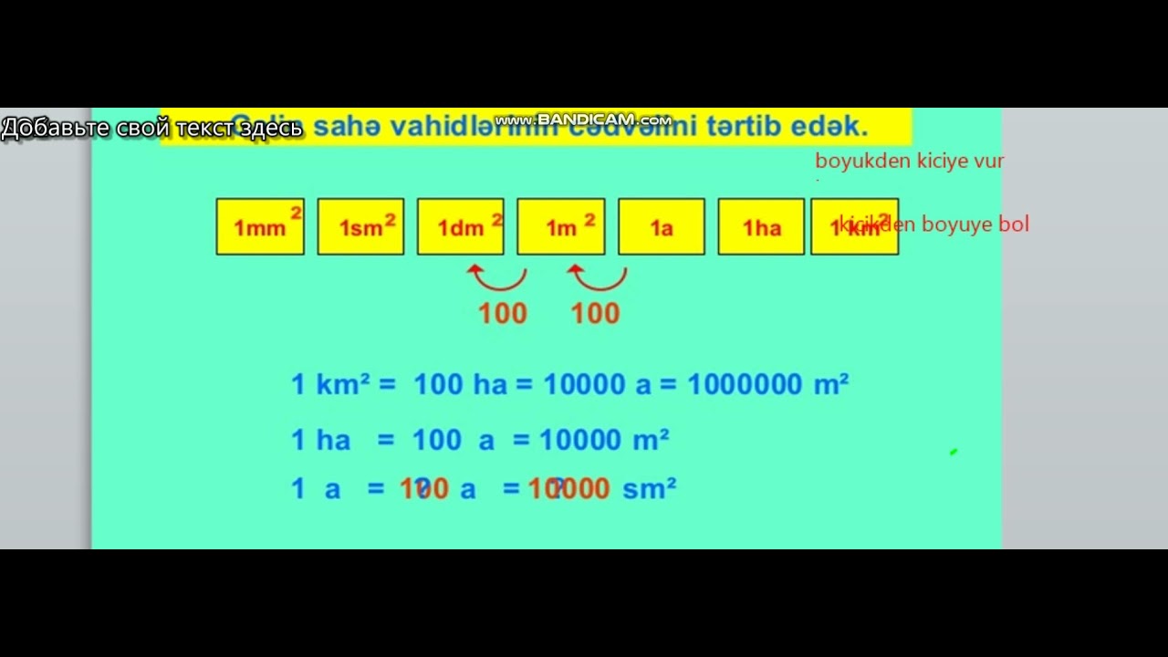 SAHE VAHİDLERİ