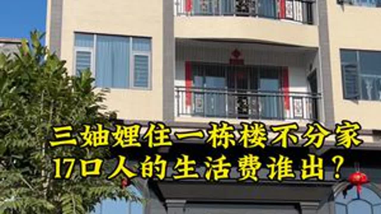 三妯娌住一栋楼不分家，17口人的生活费谁出？#vlog日常 #全职妈妈日常 #潮汕人 #家庭日常 #东菱电蒸锅