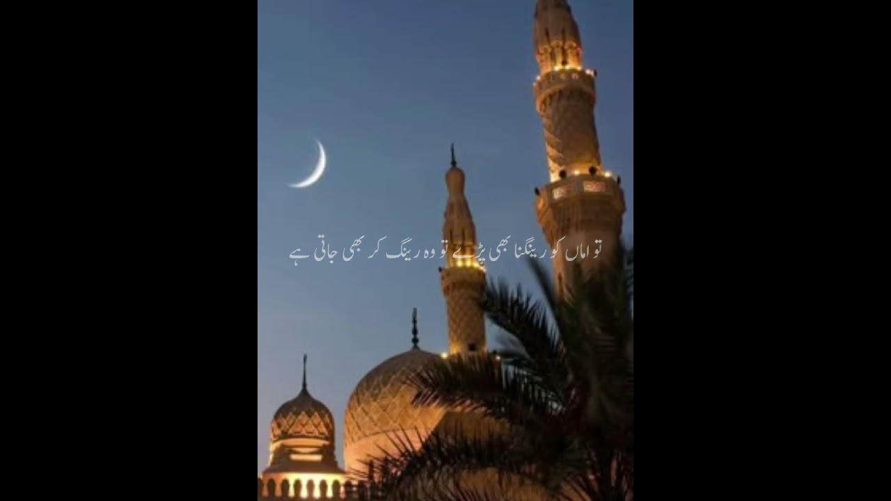 Islamic video 