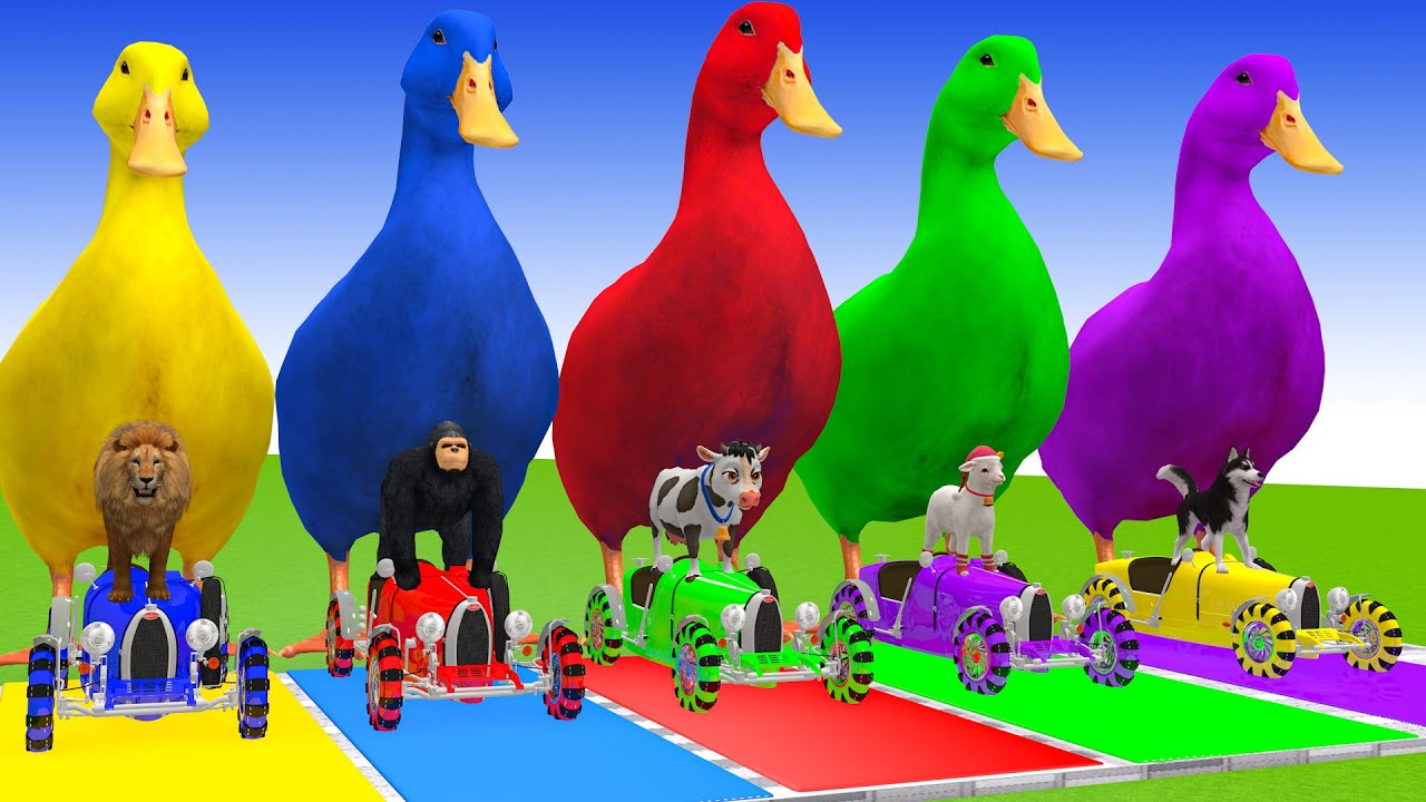 Long Slide Game With Cow Elephant Gorilla Hippopotamus Tiger 3d Animal Game Funny 3d Animals