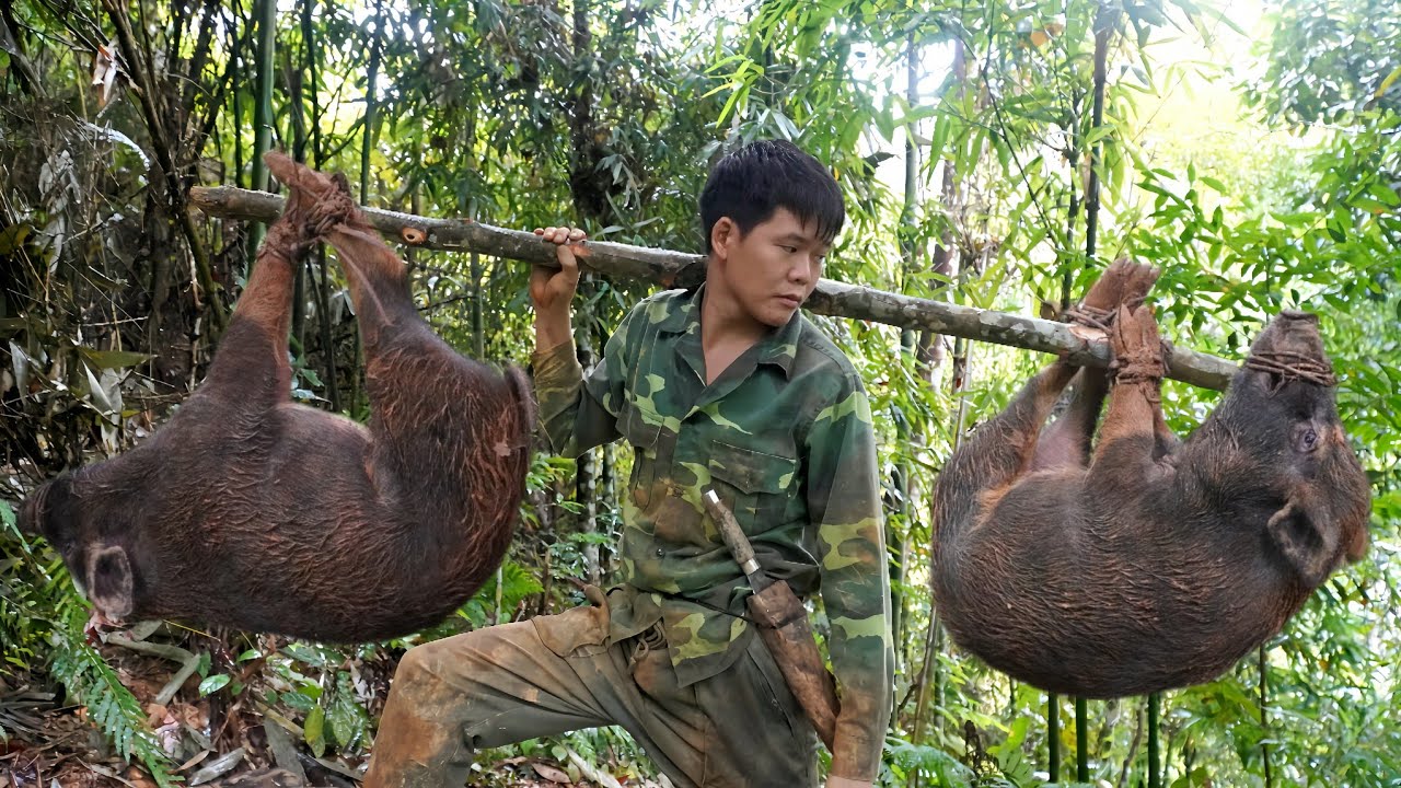 surviving alone in the wilderness, primitive wild boar trapping skills, catch wild boars for sale