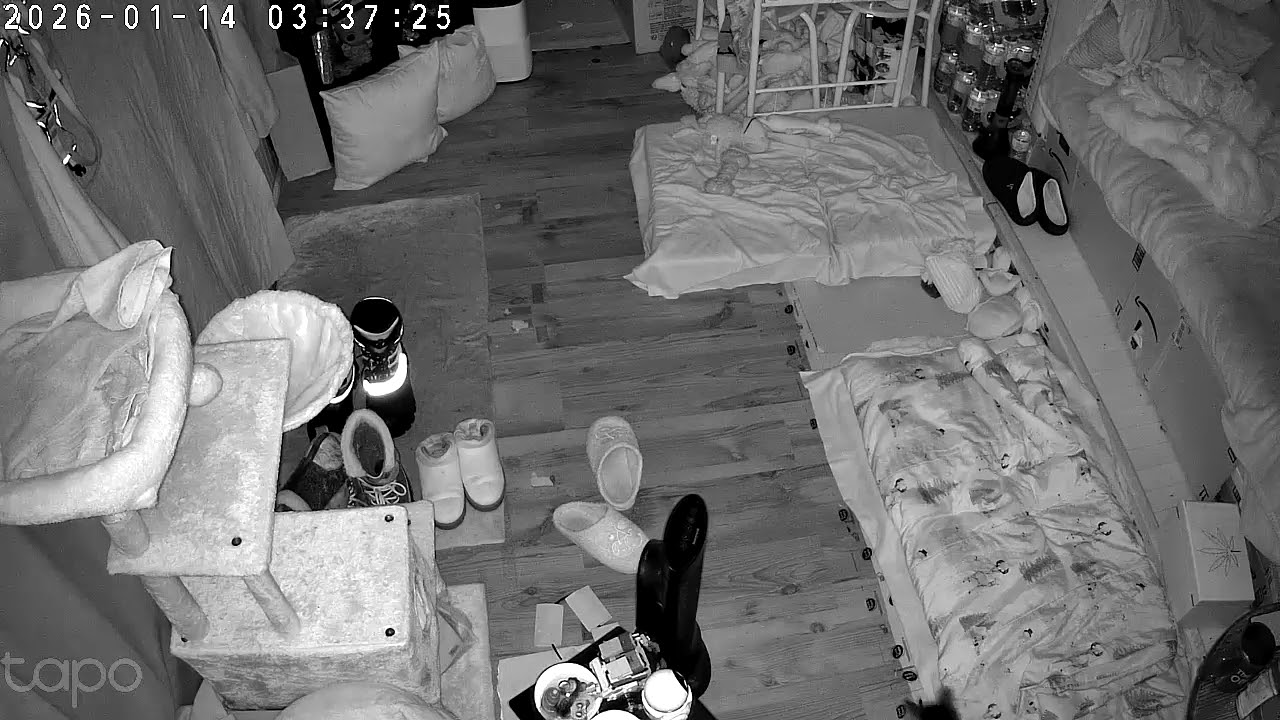 Things that go bump in the night part 2