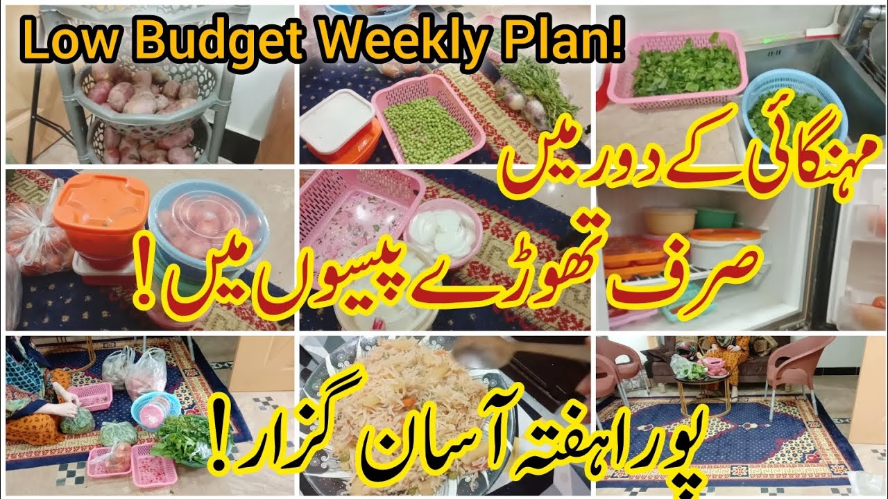 Low Budget Weekly Meal Plan | Grocery Storage Ideas ☑️| Freeze & Save Money