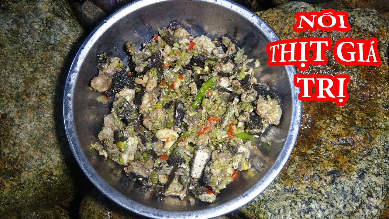 SĂN GÀ RỪNG NGỦ ĐÊM, TÌM MỒI QUEN SUỐI, NGỦ RỪNG - T4