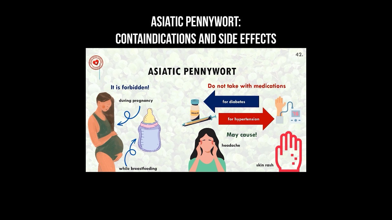 Asiatic pennywort: contraindications and side effects 