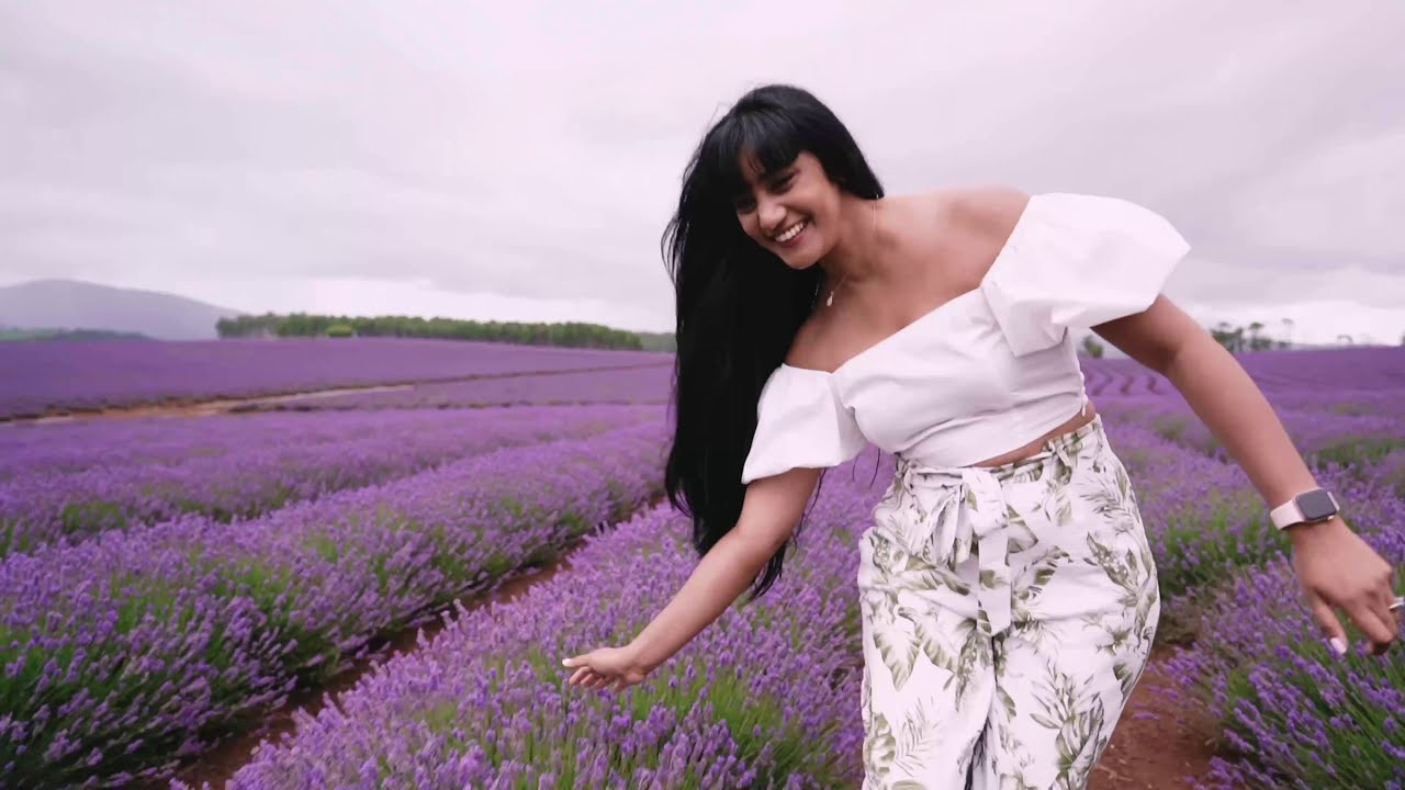 Bridestowe Lavender Estate | Tasmania