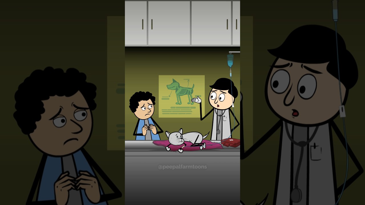 Dog lovers ka sabse mushkil fainsla #animation