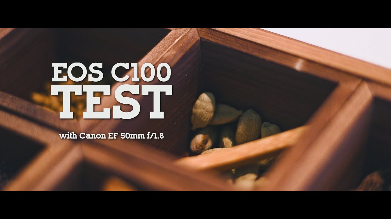 EOS C100 Test (Canon EF 50mm f/1.8)