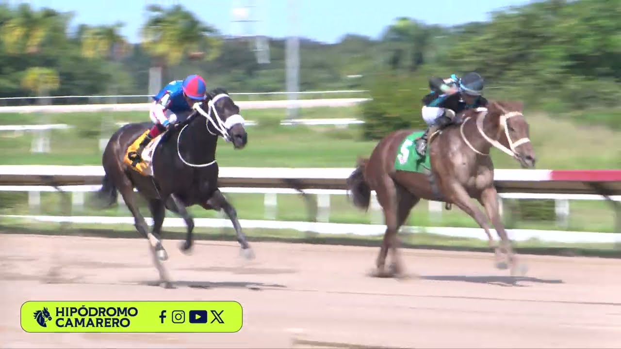 CARRERA 1 - 16/FEBRERO/2026 (MOR LEMONADE)