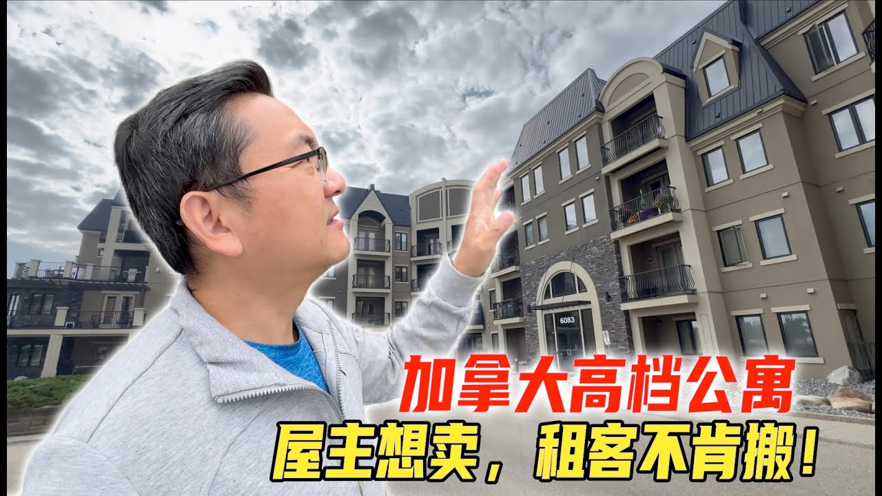 加拿大埃德蒙顿的高档公寓，房东想卖，白人租客却不想搬，这到底是怎么回事呢？