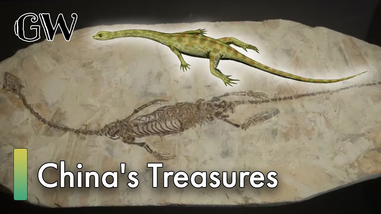 Stolen Treasures Reunited: Ancient Artifacts Returned to China