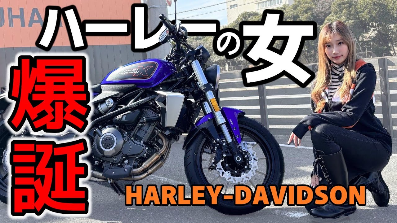 【X350】Harley-Davidsonに乗りたいバイク女子が中型ハーレーデビューしたら良すぎた件【試乗インプレ】