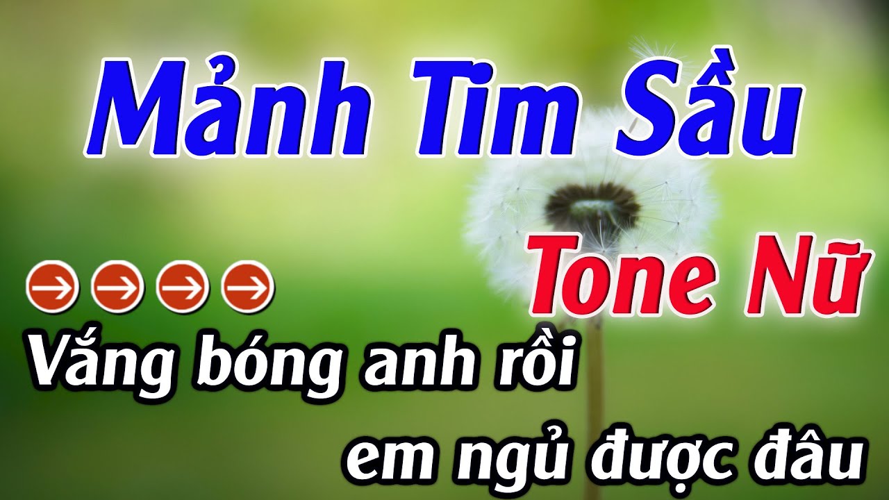 Karaoke Mảnh Tim Sầu Karaoke Tone Nữ Beat Hay Nhất 2025 Karaoke Mê Nhạc Sống
