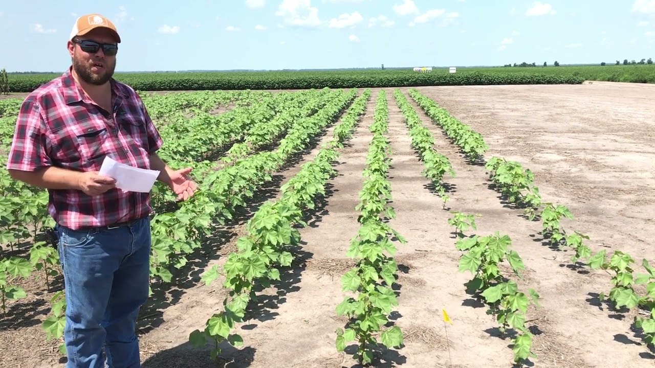Field planting exercise