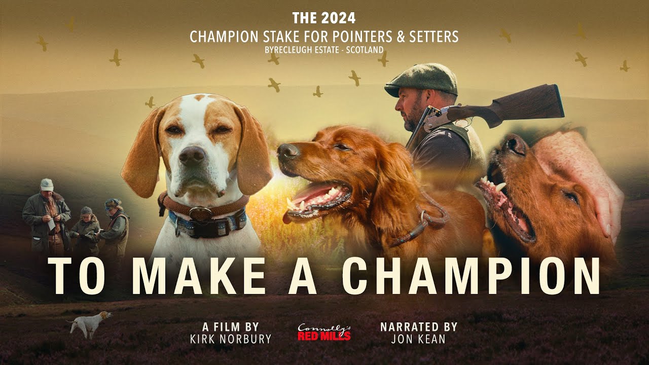 TO MAKE A CHAMPION - The 2024 Champion Stake For Pointers & Setters