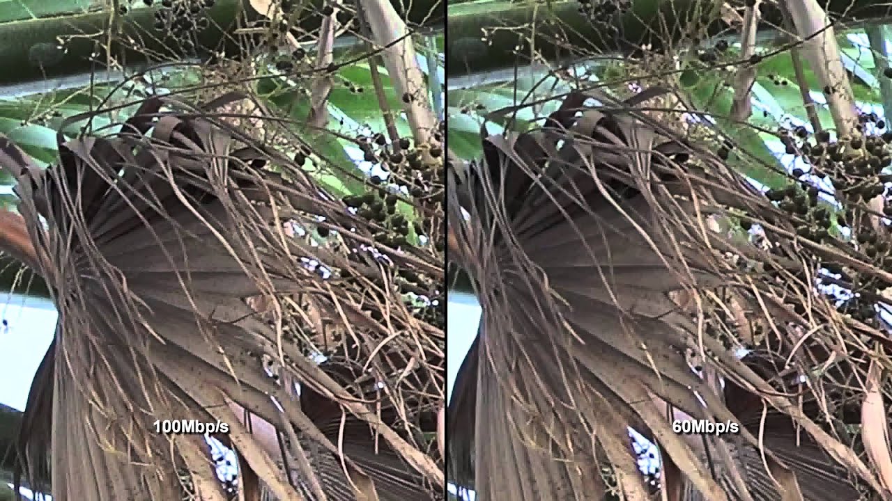 Sony AX100 - 60Mbps  vs 100Mbps in 4K