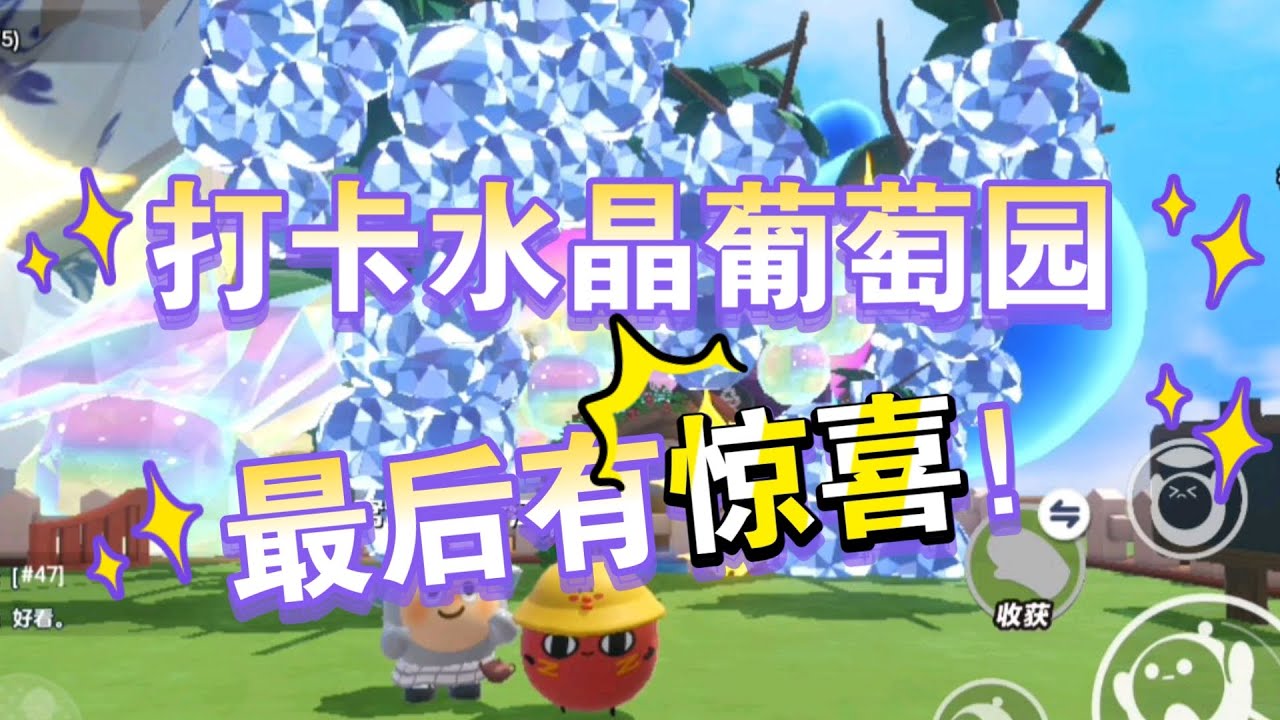 欢迎大家来疯狂农场找我玩呀！最后有惊喜，快来看看吧！