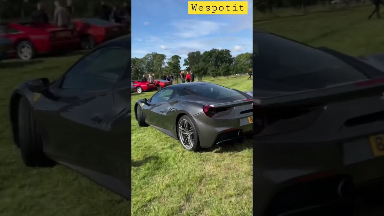 LAMBO, PORSCHE AND FERRARI DRIVING ON GRASS | AND THAT CAMO SUPRA😍
