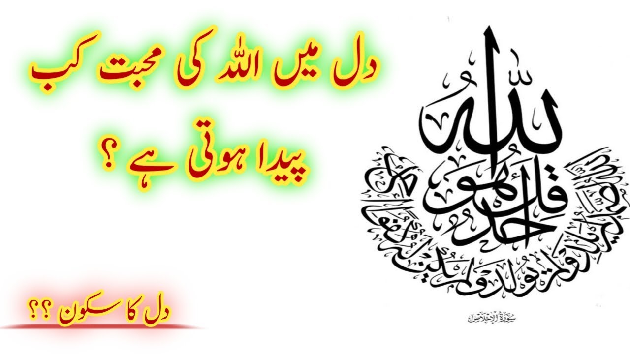Allah Love Quotes || Islamic Quotes || Urdu Quotes || Dill Main Allah ki Mohabbat kab Paida hoti hai