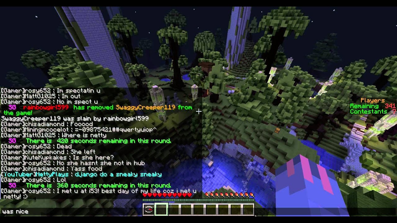 Hunger Games on nettyplaysmc.com