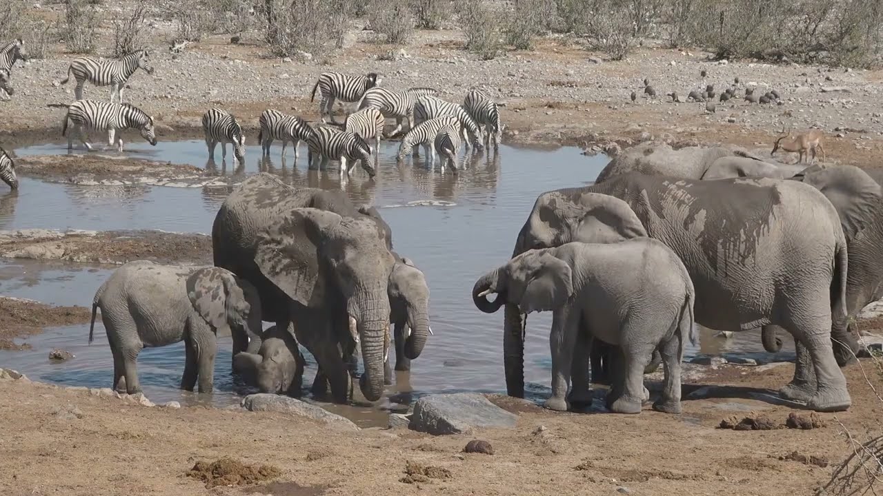 Angola | A Journey Through Africa | Cinematic Travel Film