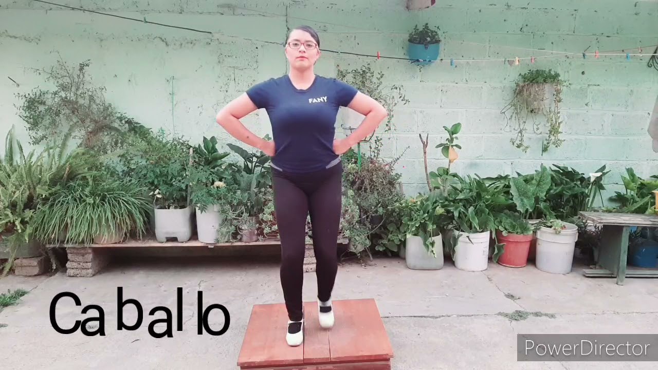 Pasos básico del huapango hidalguense
