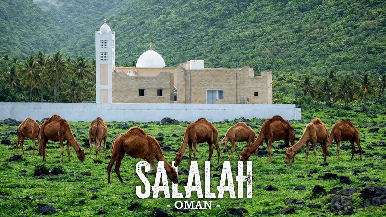 Salalah Oman Travel Guide: A Green Paradise with Friendly People