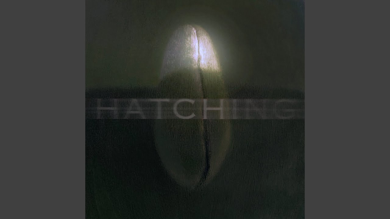 Hate to Survive (Demo Version)