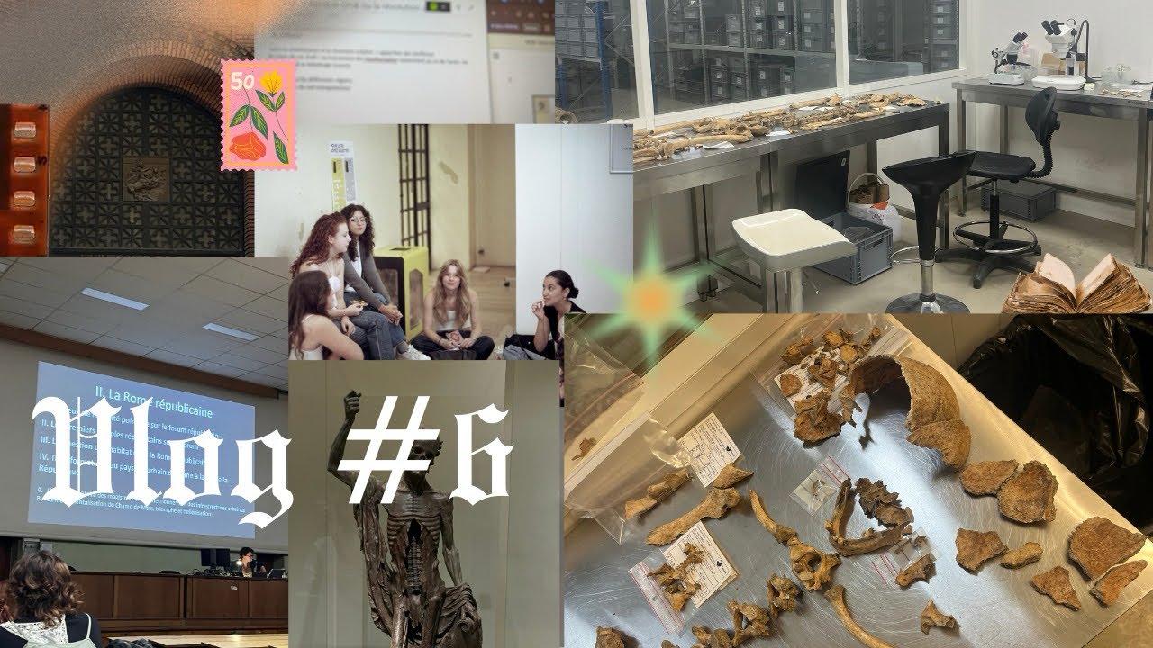 #vlog 6 : semaines compliquées, stage, et retards