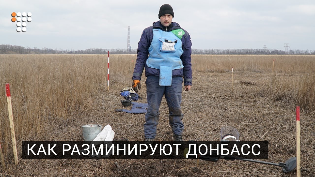 Как разминируют Донбасс: репортаж из Новолуганского