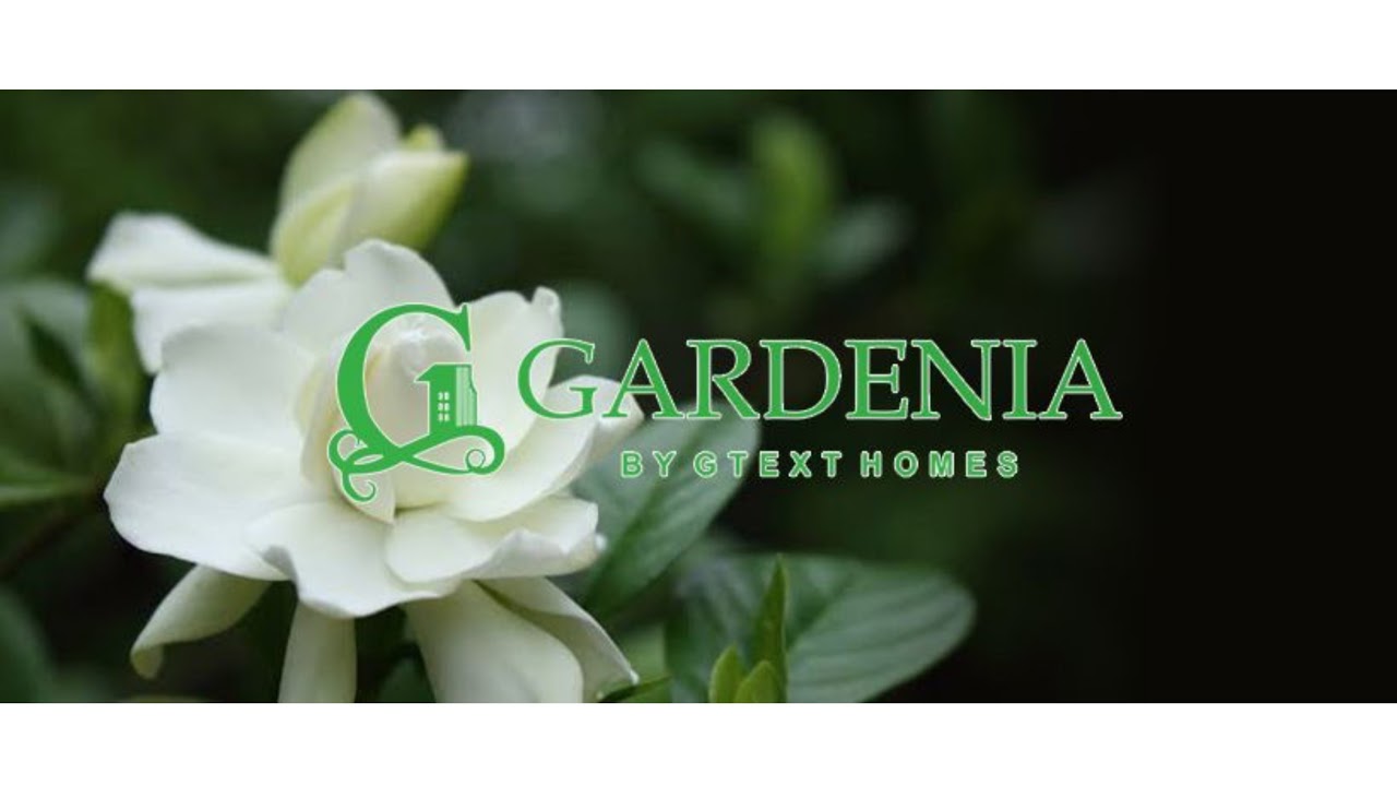 If You Cannot Lead Yourself, You Cannot Lead Others