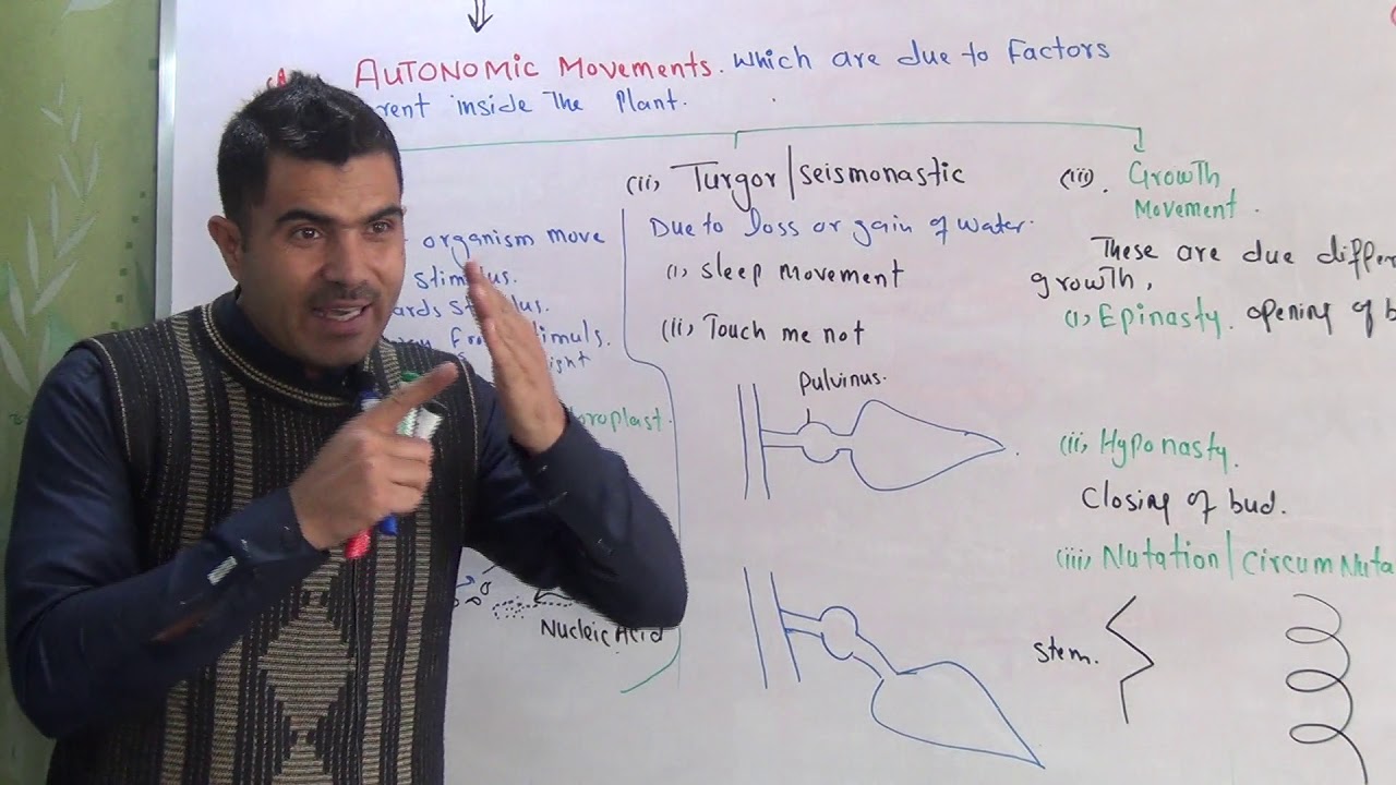 Movement in plants autonomic and paratoniccomplete detail urdu hindhi by Dr Hadi