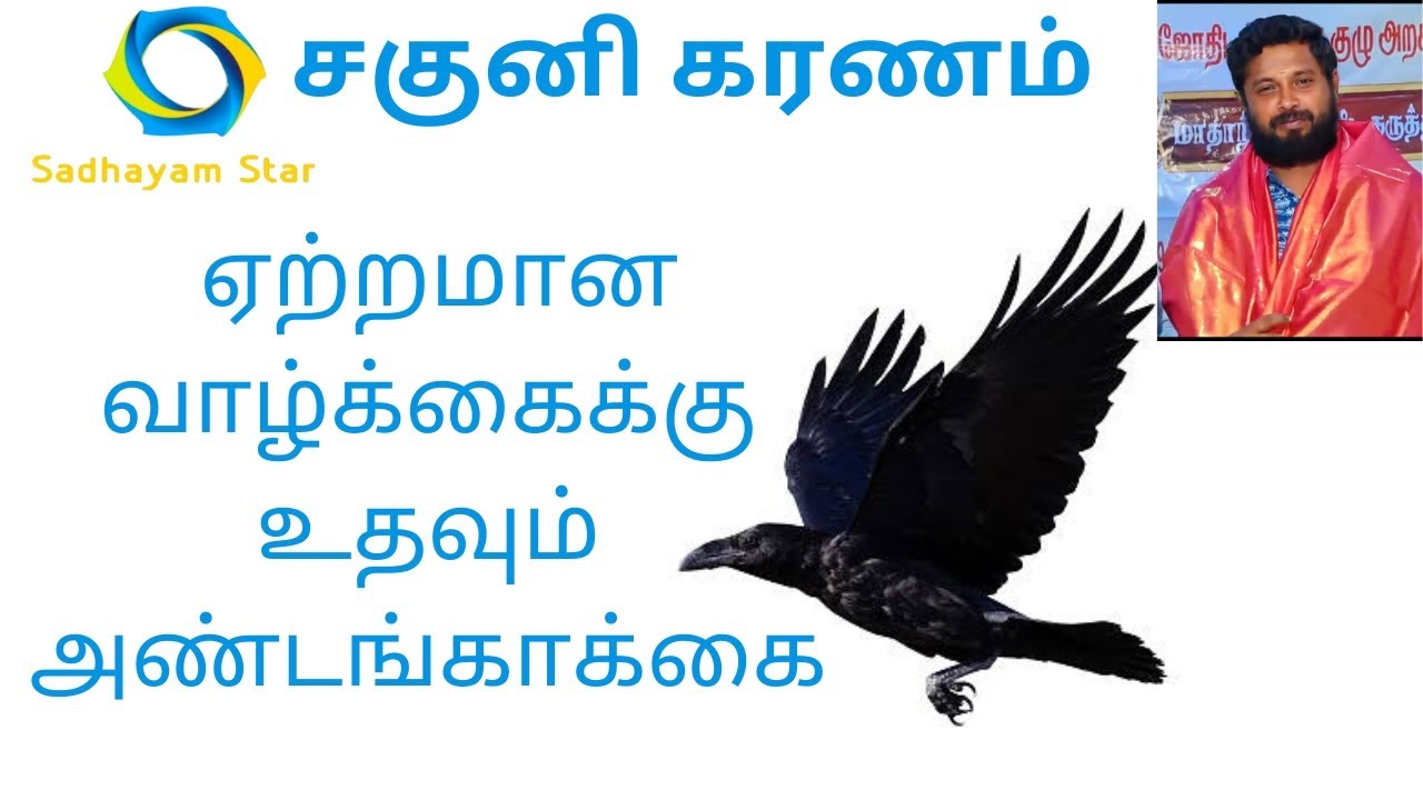 சகுனி கர்ணம் |ஏற்றமான வாழ்க்கைக்கு உதவும் அண்டங்காக்கை |@SadhayamStar | #panditbala |#astrology
