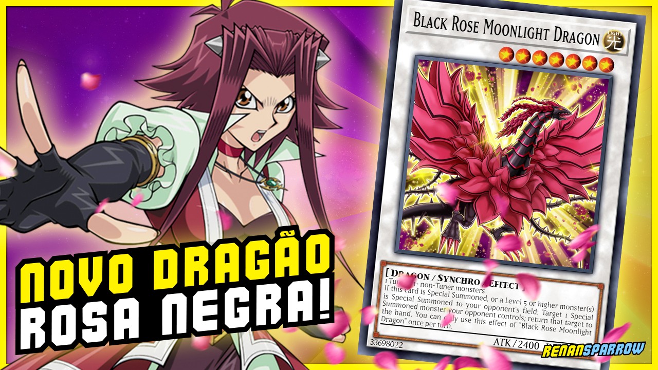 *NOVA VERSÃO* BLACK ROSE DRAGON TÁ DE VOLTA! - Yu-Gi-Oh! Duel Links 