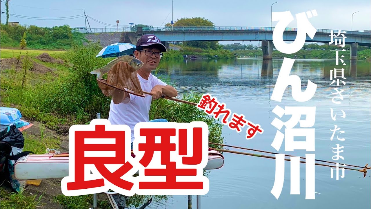 穂先も抜けるほど元気な魚！びん沼川でへらぶな釣り