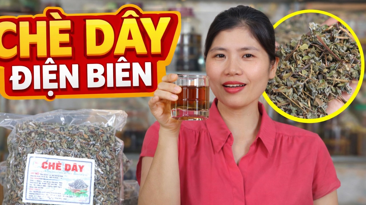 Chè dây Có Để Qua Đêm Không  - Chè Dây Điện Biên Trị Bệnh Dạ Dày