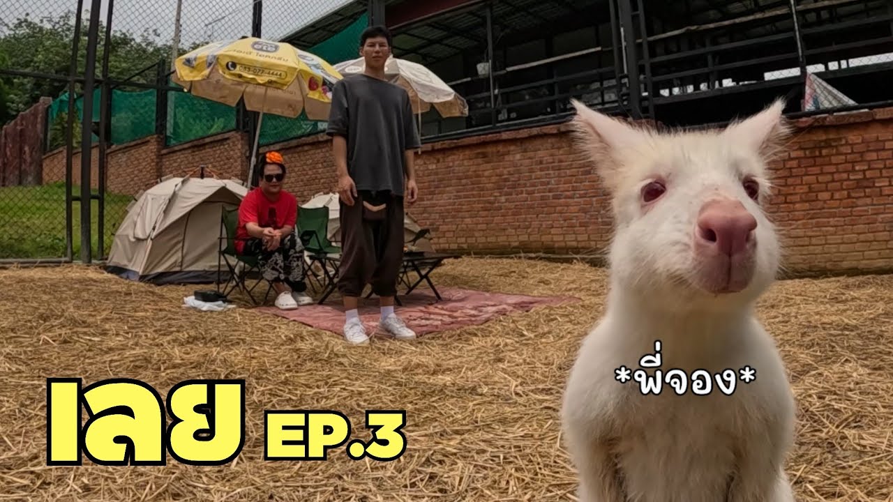 เช้าใจสงบ สายเล่นสนุก