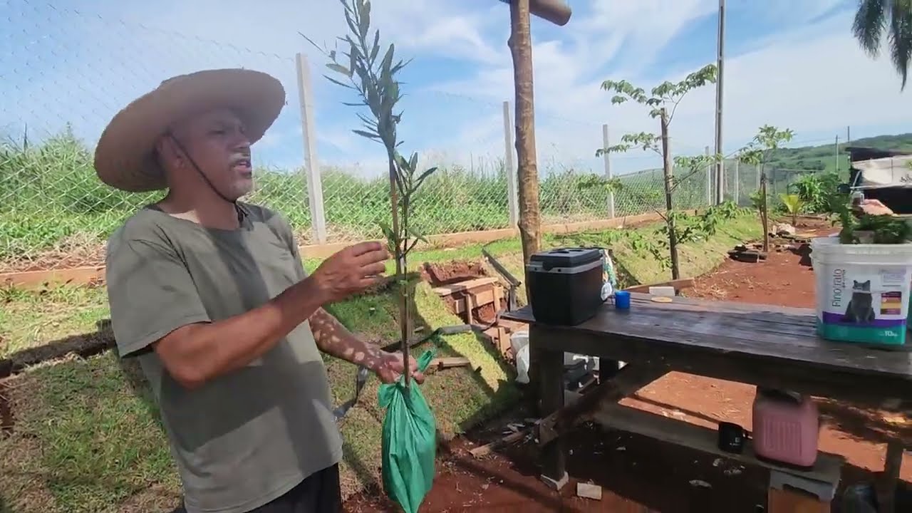 Novas plantas pra nossa chácara!